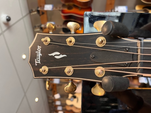 Taylor Guitars - 814CE B.E. 3